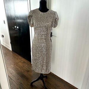 Evening Silver Sequin Dress.